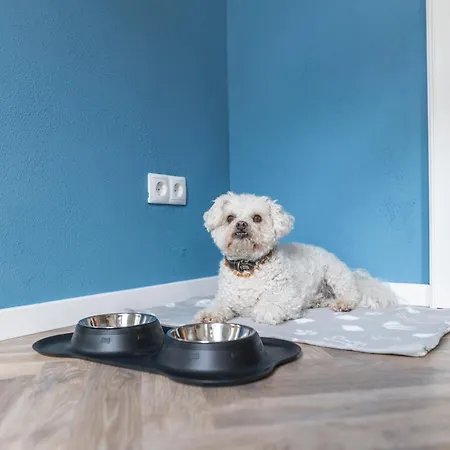 Freyzeit Haeuschen In Appartement Wachenheim an der Weinstraße