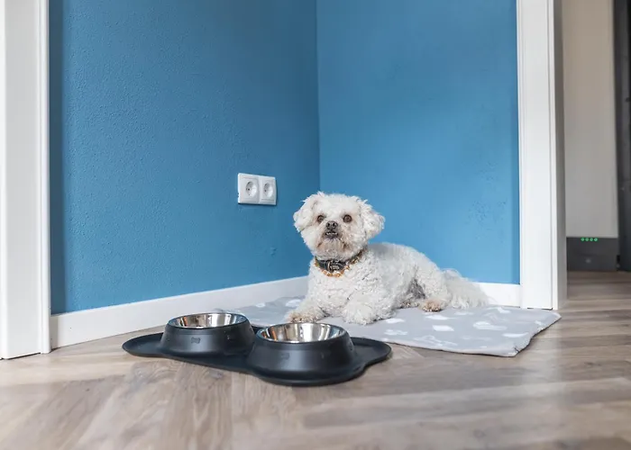 Freyzeit Haeuschen In Apartmán Wachenheim an der Weinstraße